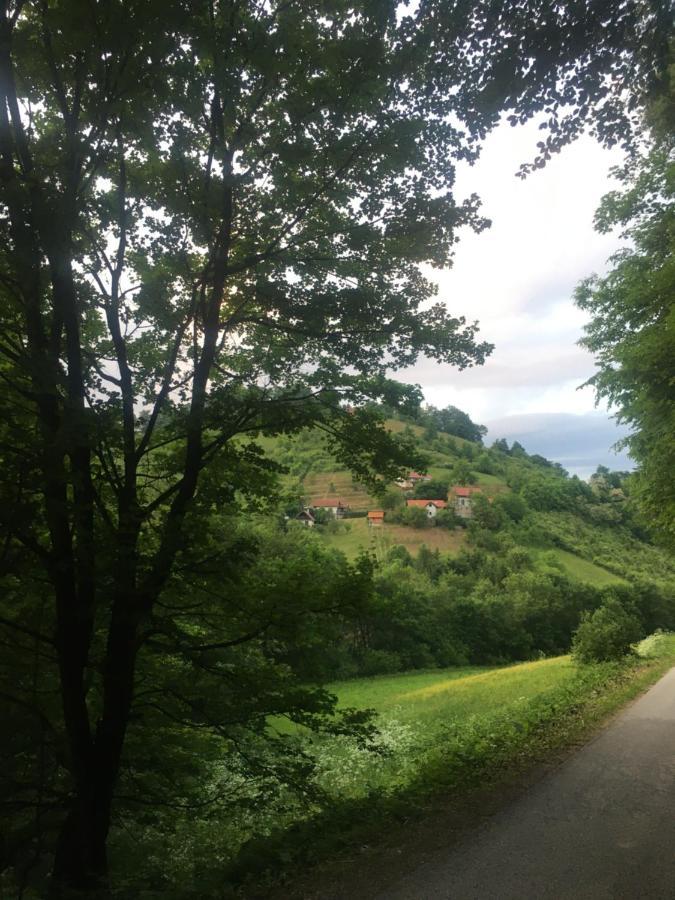 Loce pri Poljcanah Nicehead Spacious Nest Between Maribor And Celje מראה חיצוני תמונה