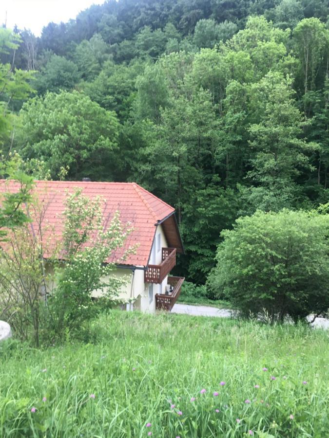 Loce pri Poljcanah Nicehead Spacious Nest Between Maribor And Celje מראה חיצוני תמונה